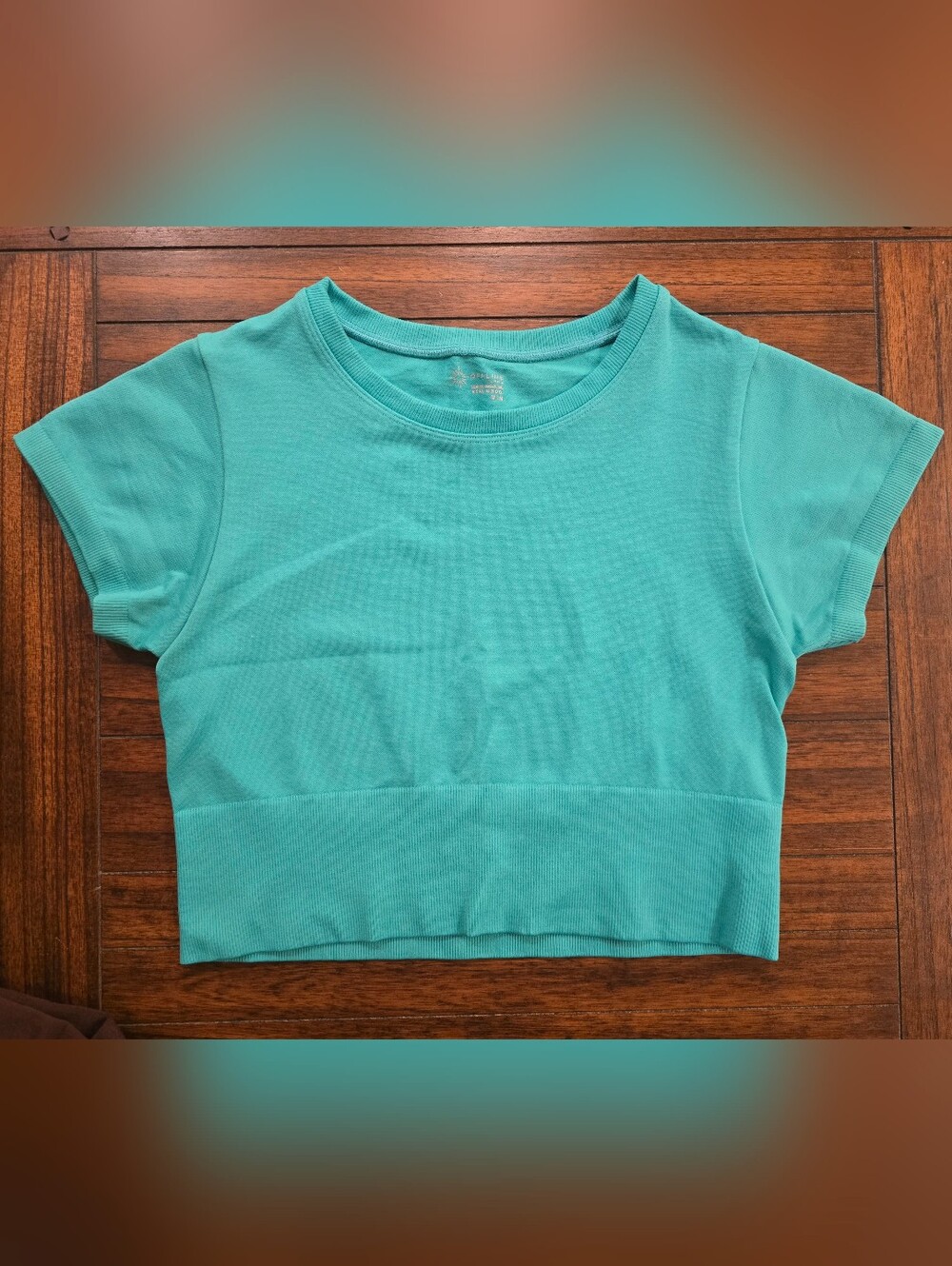 Aerie Teal/green Short Sleeve Cropped Top